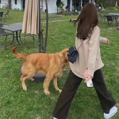 犯罪王